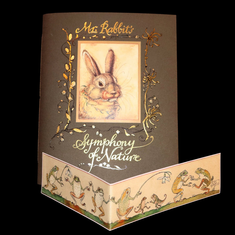 2008 Rare Signed 1stED - Mr. Rabbit's Symphony of Nature by Charles van Sandwyk