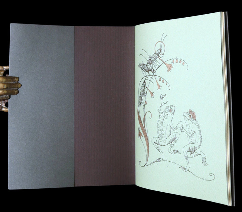 2008 Rare Signed 1stED - Mr. Rabbit's Symphony of Nature by Charles van Sandwyk