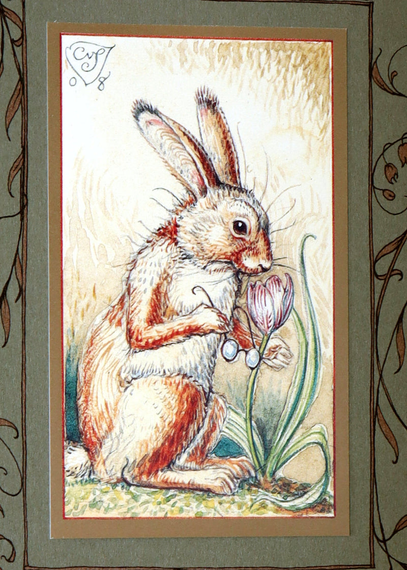 2008 Rare Signed 1stED - Mr. Rabbit's Symphony of Nature by Charles van Sandwyk