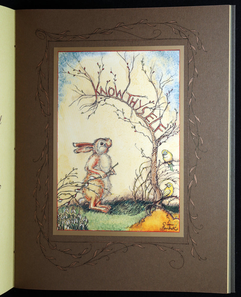 2008 Rare Signed 1stED - Mr. Rabbit's Symphony of Nature by Charles van Sandwyk