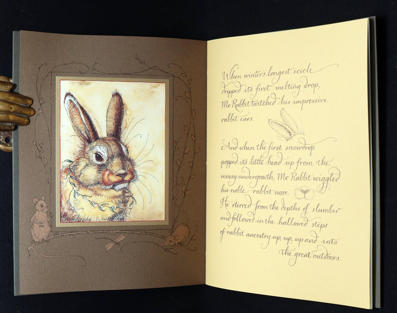 2008 Rare Signed 1stED - Mr. Rabbit's Symphony of Nature by Charles van Sandwyk