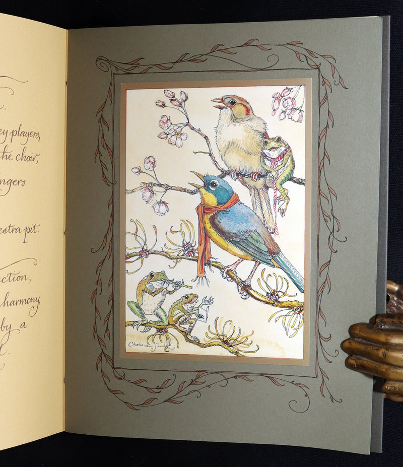 2008 Rare Signed 1stED - Mr. Rabbit's Symphony of Nature by Charles van Sandwyk