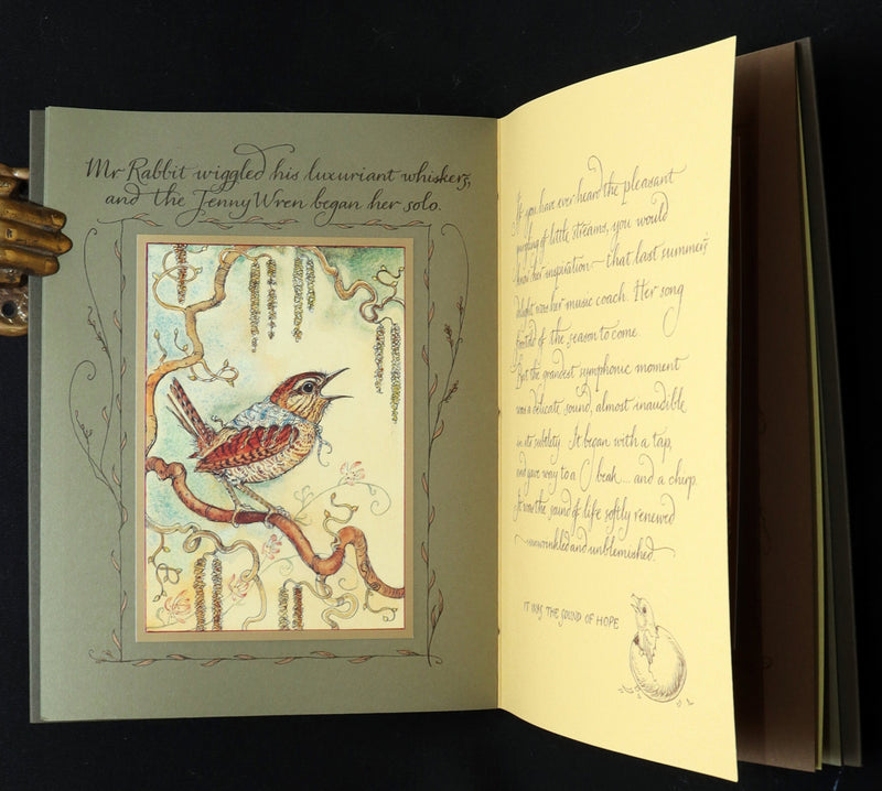 2008 Rare Signed 1stED - Mr. Rabbit's Symphony of Nature by Charles van Sandwyk