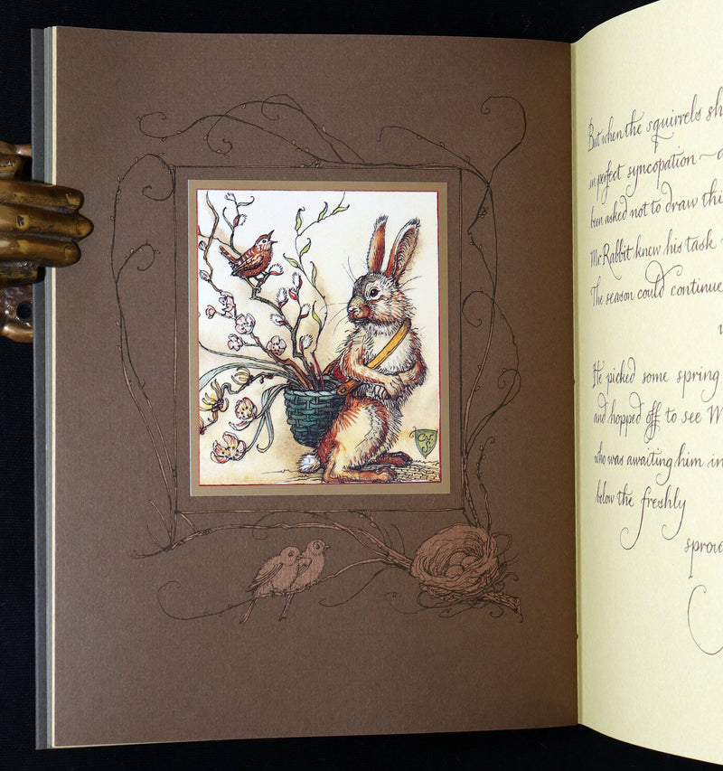 2008 Rare Signed 1stED - Mr. Rabbit's Symphony of Nature by Charles van Sandwyk