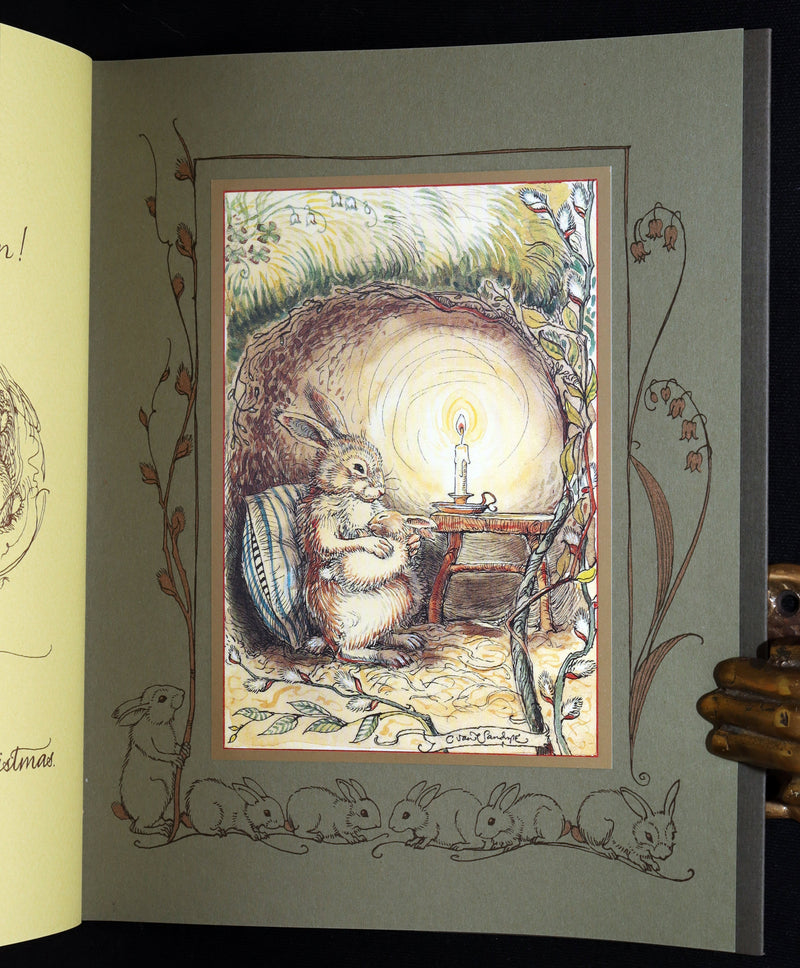 2008 Rare Signed 1stED - Mr. Rabbit's Symphony of Nature by Charles van Sandwyk