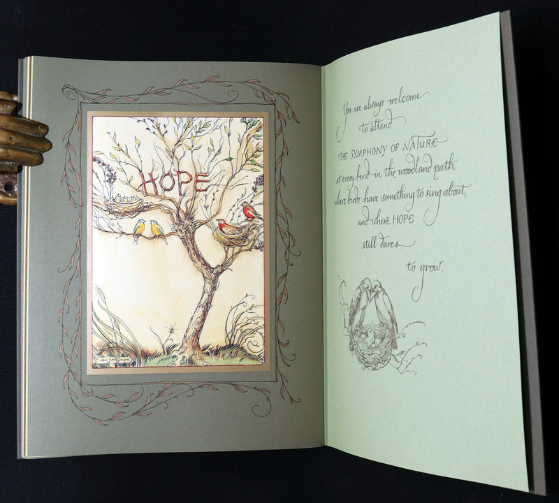 2008 Rare Signed 1stED - Mr. Rabbit's Symphony of Nature by Charles van Sandwyk