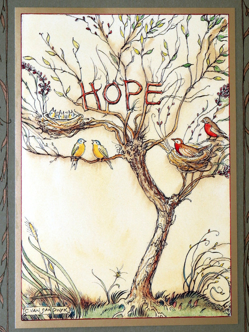 2008 Rare Signed 1stED - Mr. Rabbit's Symphony of Nature by Charles van Sandwyk