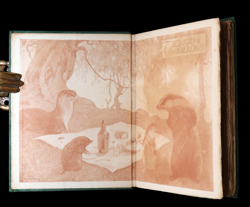 1913 First Edition by Paul BRANSOM - The Wind in the Willows by Kenneth Grahame