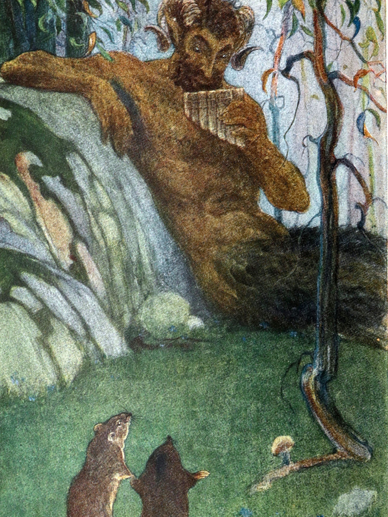1913 First Edition by Paul BRANSOM - The Wind in the Willows by Kenneth Grahame