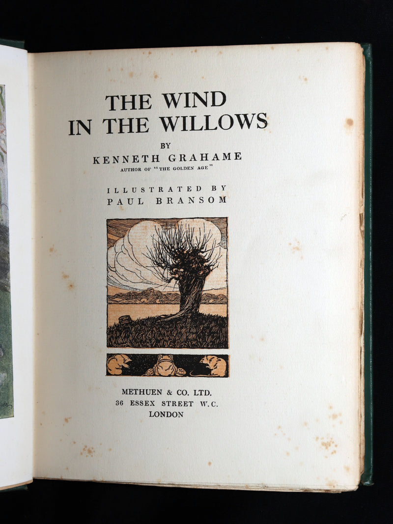 1913 First Edition by Paul BRANSOM - The Wind in the Willows by Kenneth Grahame