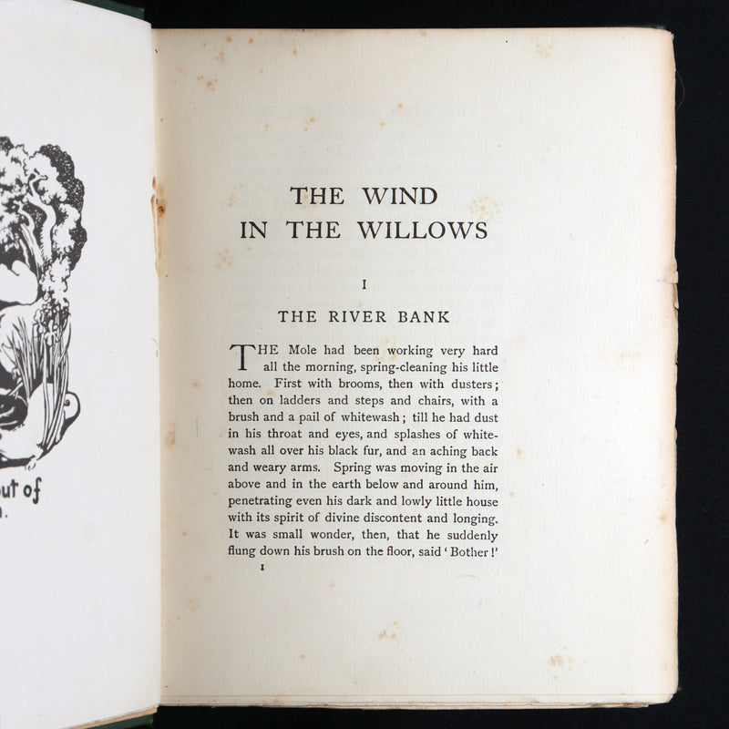 1913 First Edition by Paul BRANSOM - The Wind in the Willows by Kenneth Grahame