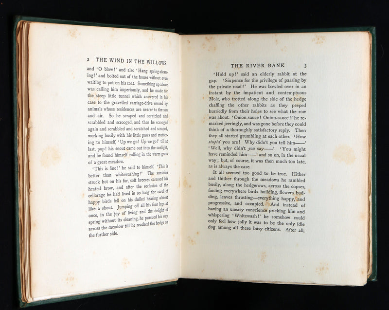 1913 First Edition by Paul BRANSOM - The Wind in the Willows by Kenneth Grahame