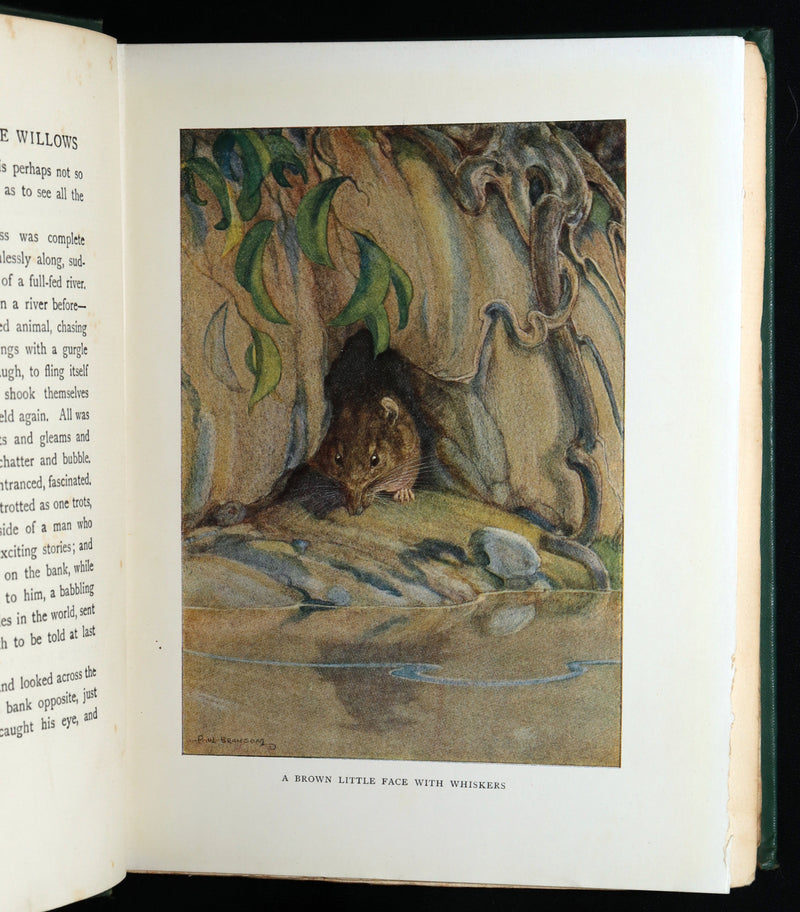1913 First Edition by Paul BRANSOM - The Wind in the Willows by Kenneth Grahame