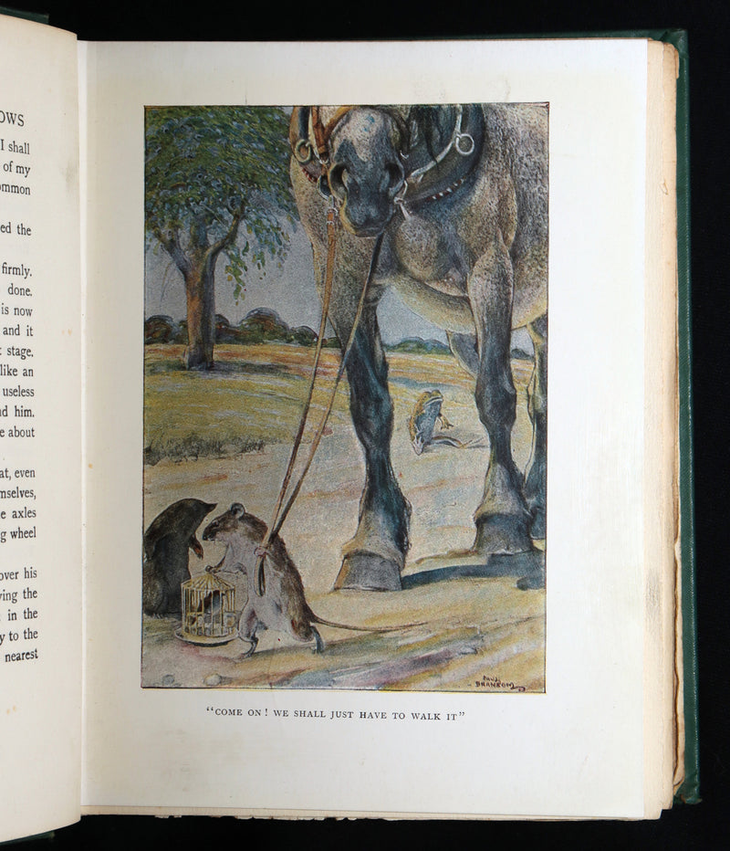 1913 First Edition by Paul BRANSOM - The Wind in the Willows by Kenneth Grahame