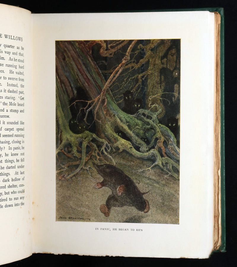 1913 First Edition by Paul BRANSOM - The Wind in the Willows by Kenneth Grahame