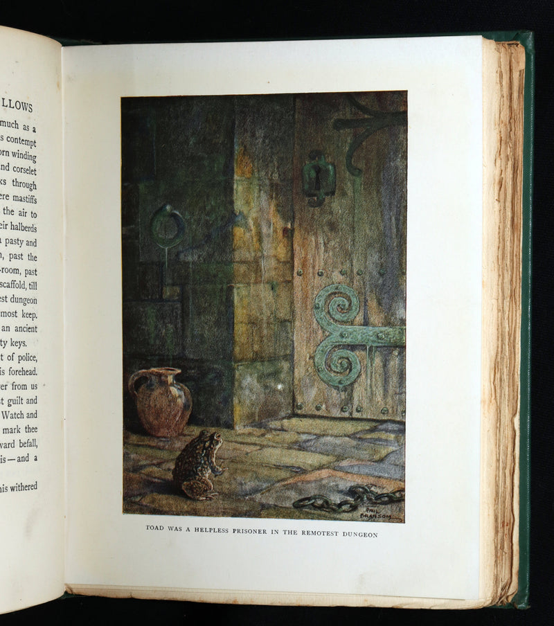 1913 First Edition by Paul BRANSOM - The Wind in the Willows by Kenneth Grahame