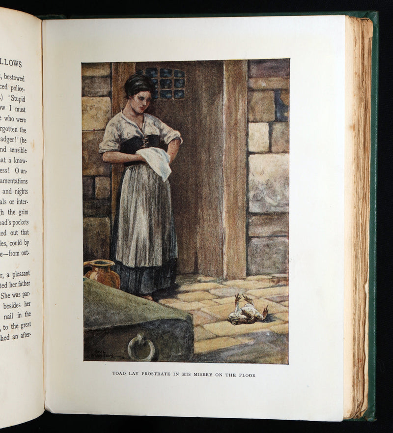 1913 First Edition by Paul BRANSOM - The Wind in the Willows by Kenneth Grahame