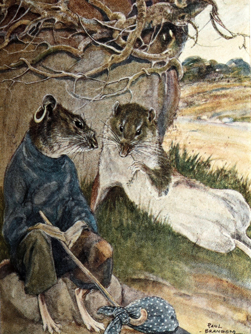 1913 First Edition by Paul BRANSOM - The Wind in the Willows by Kenneth Grahame