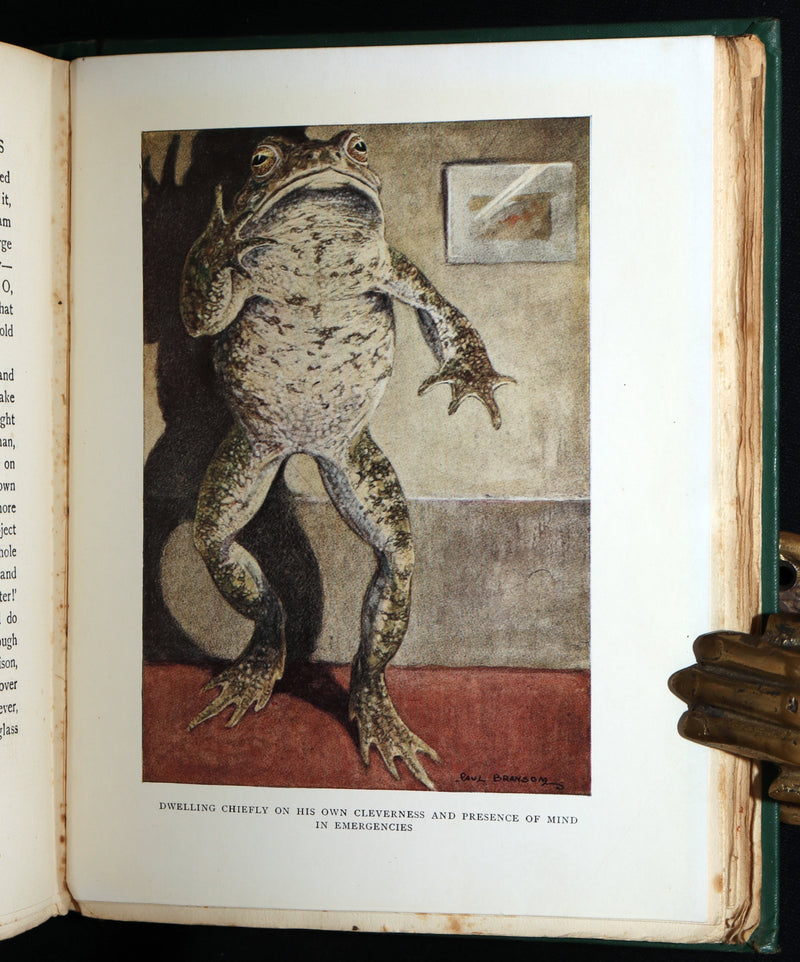 1913 First Edition by Paul BRANSOM - The Wind in the Willows by Kenneth Grahame