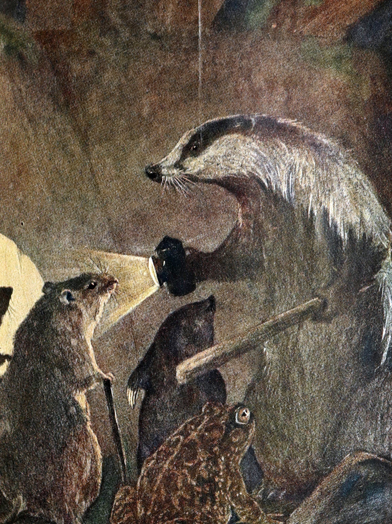 1913 First Edition by Paul BRANSOM - The Wind in the Willows by Kenneth Grahame