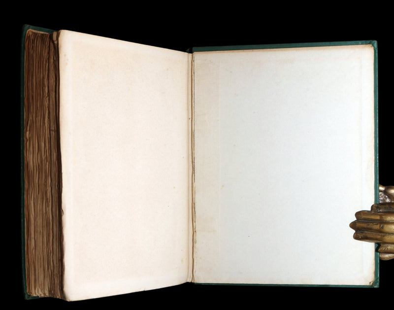 1913 First Edition by Paul BRANSOM - The Wind in the Willows by Kenneth Grahame