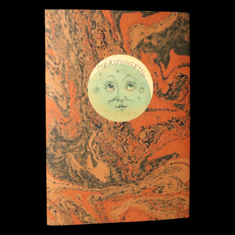 2017 Rare Limited Ed.- A Northern View of the Great Solar Eclipse by van Sandwyk