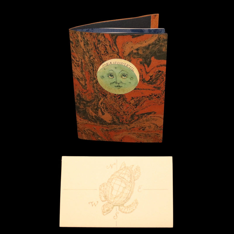 2017 Rare Limited Ed.- A Northern View of the Great Solar Eclipse by van Sandwyk