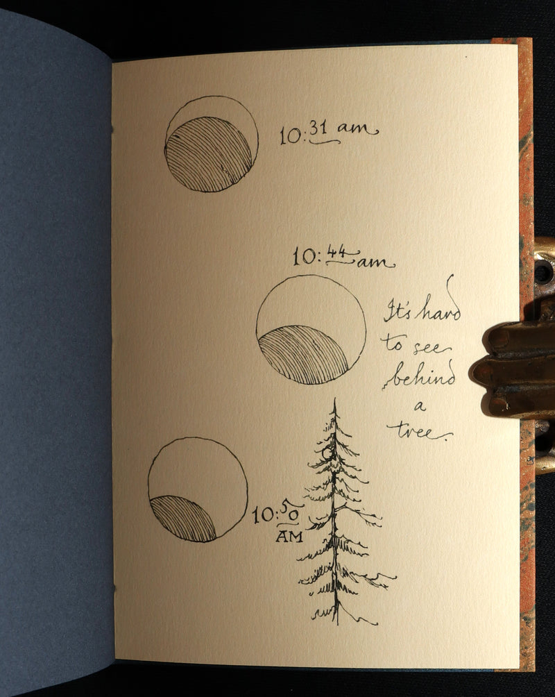 2017 Rare Limited Ed.- A Northern View of the Great Solar Eclipse by van Sandwyk
