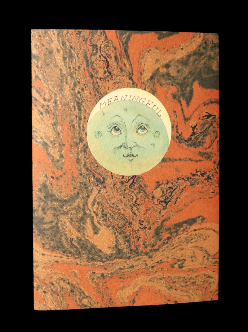 2017 Rare Limited Ed.- A Northern View of the Great Solar Eclipse by van Sandwyk