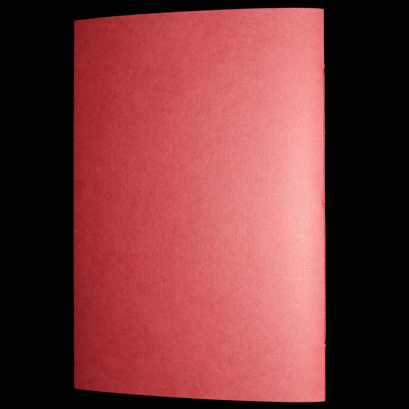 2009 Rare Signed Book - Canadian Content by Charles van Sandwyk.