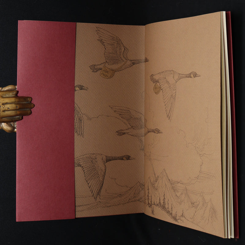 2009 Rare Signed Book - Canadian Content by Charles van Sandwyk.