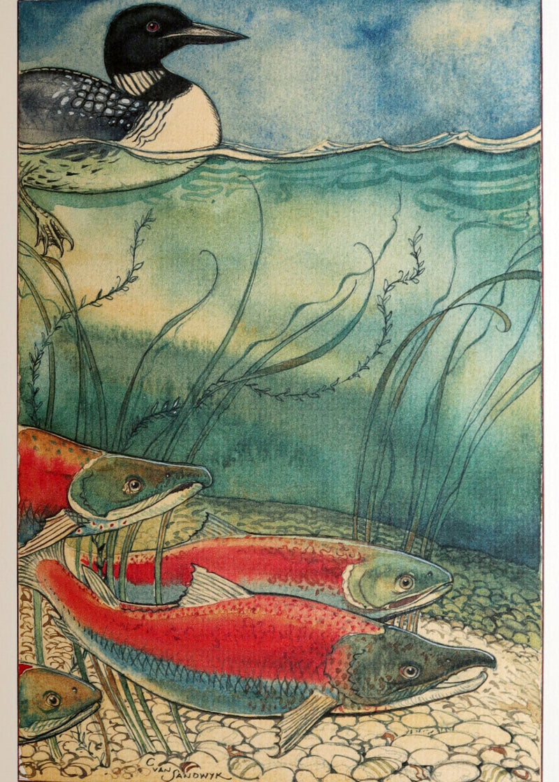 2009 Rare Signed Book - Canadian Content by Charles van Sandwyk.