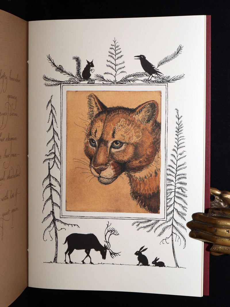 2009 Rare Signed Book - Canadian Content by Charles van Sandwyk.