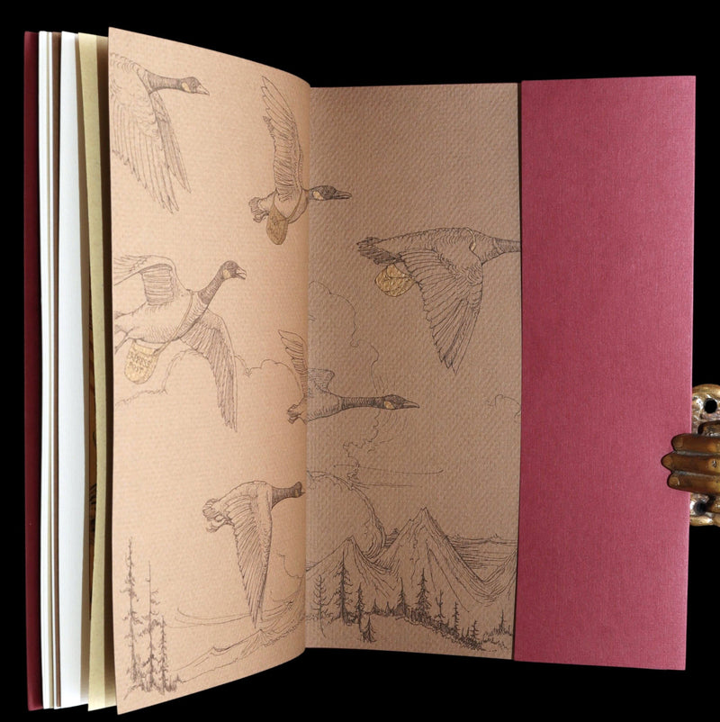 2009 Rare Signed Book - Canadian Content by Charles van Sandwyk.