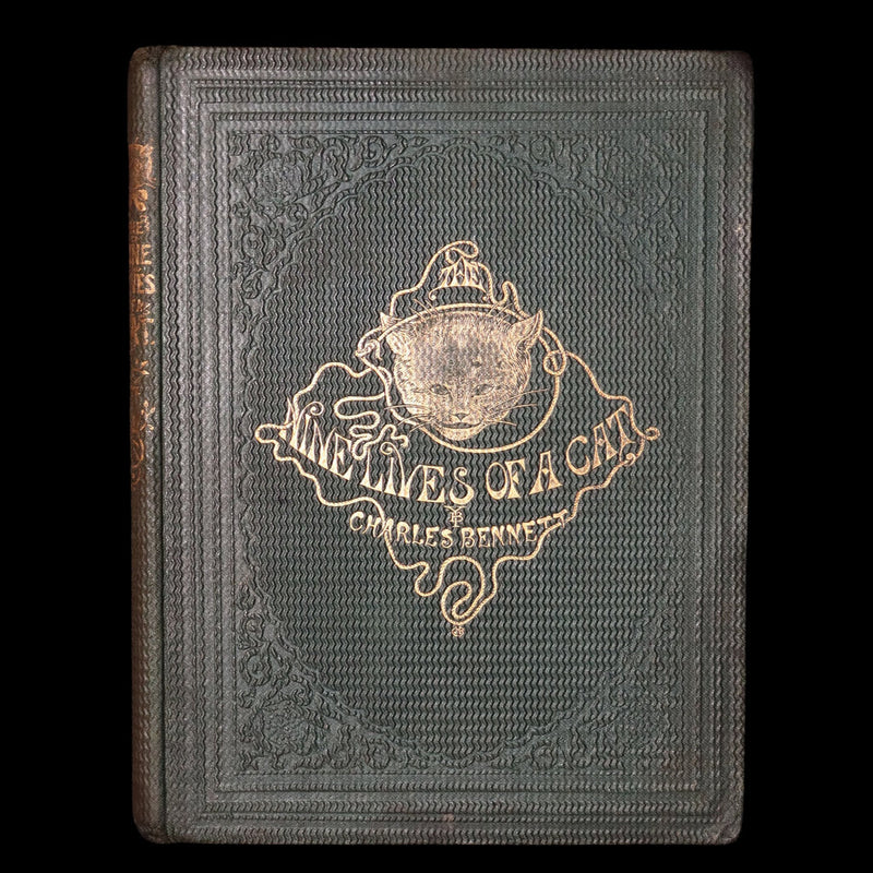 1860 Rare First Edition-The Nine Lives of a Cat, illustrated by Charles Bennett
