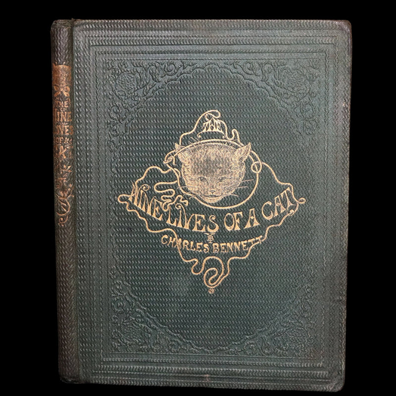1860 Rare First Edition-The Nine Lives of a Cat, illustrated by Charles Bennett