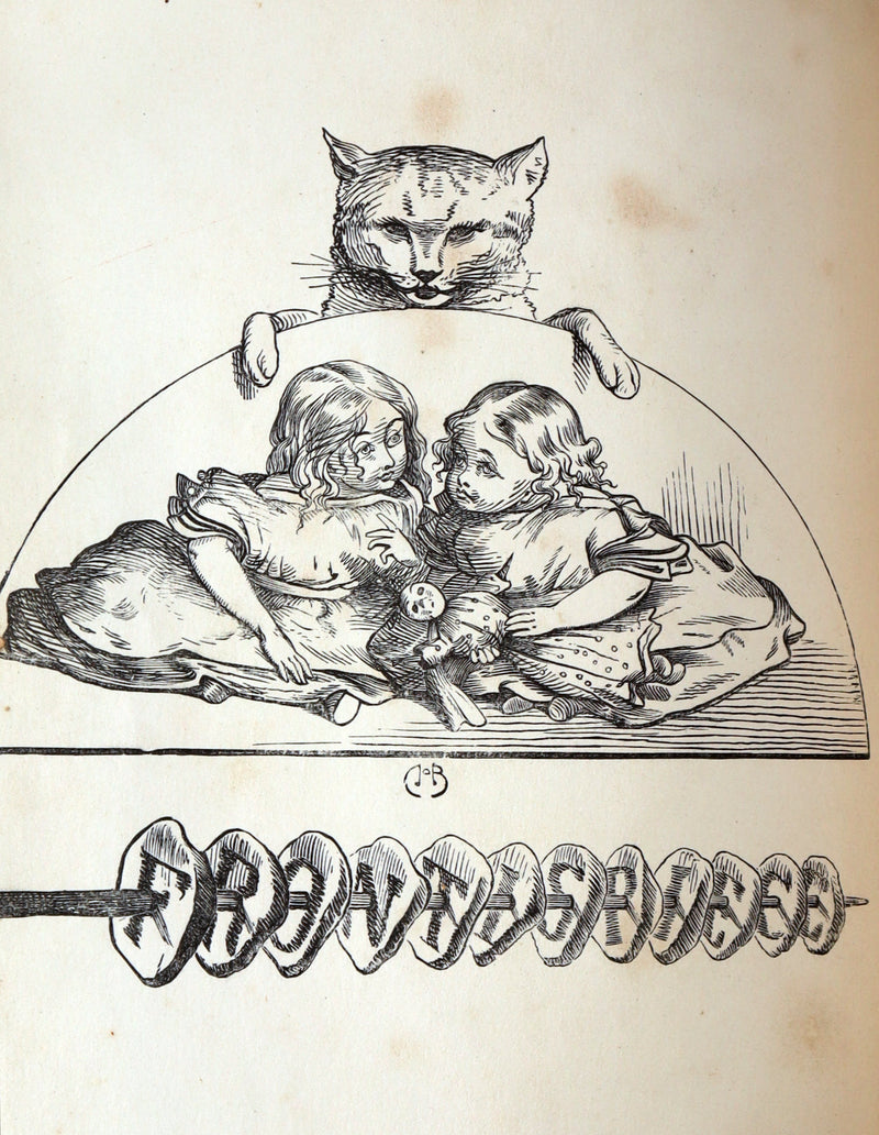 1860 Rare First Edition-The Nine Lives of a Cat, illustrated by Charles Bennett
