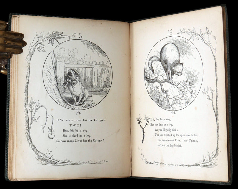 1860 Rare First Edition-The Nine Lives of a Cat, illustrated by Charles Bennett