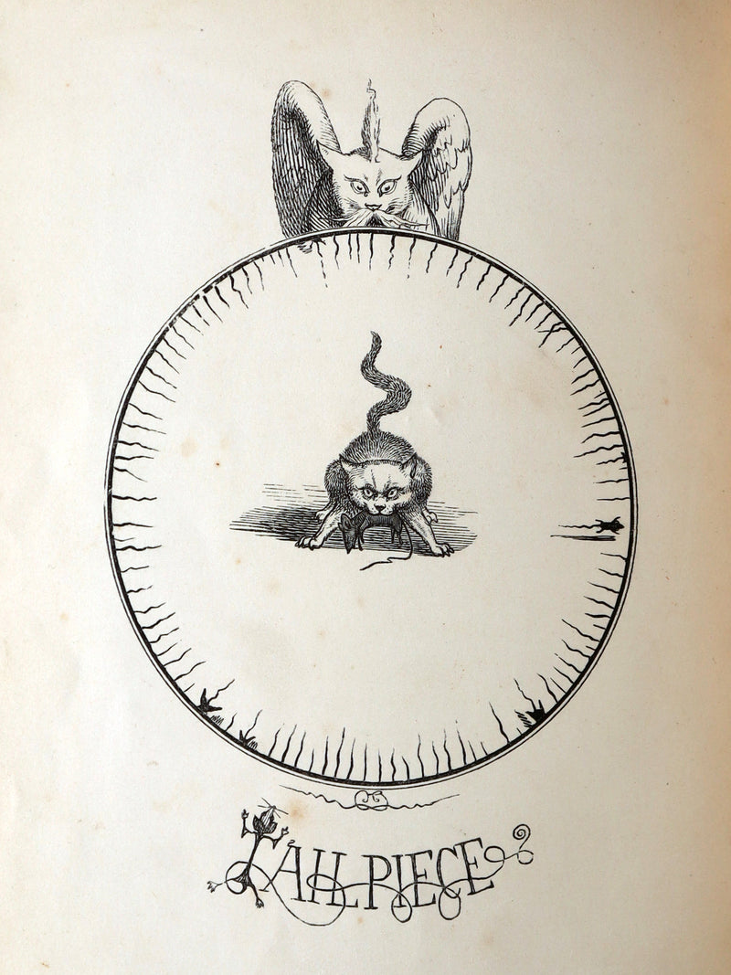 1860 Rare First Edition-The Nine Lives of a Cat, illustrated by Charles Bennett