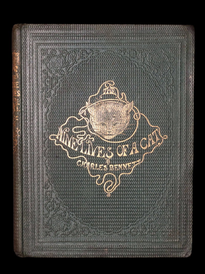 1860 Rare First Edition-The Nine Lives of a Cat, illustrated by Charles Bennett