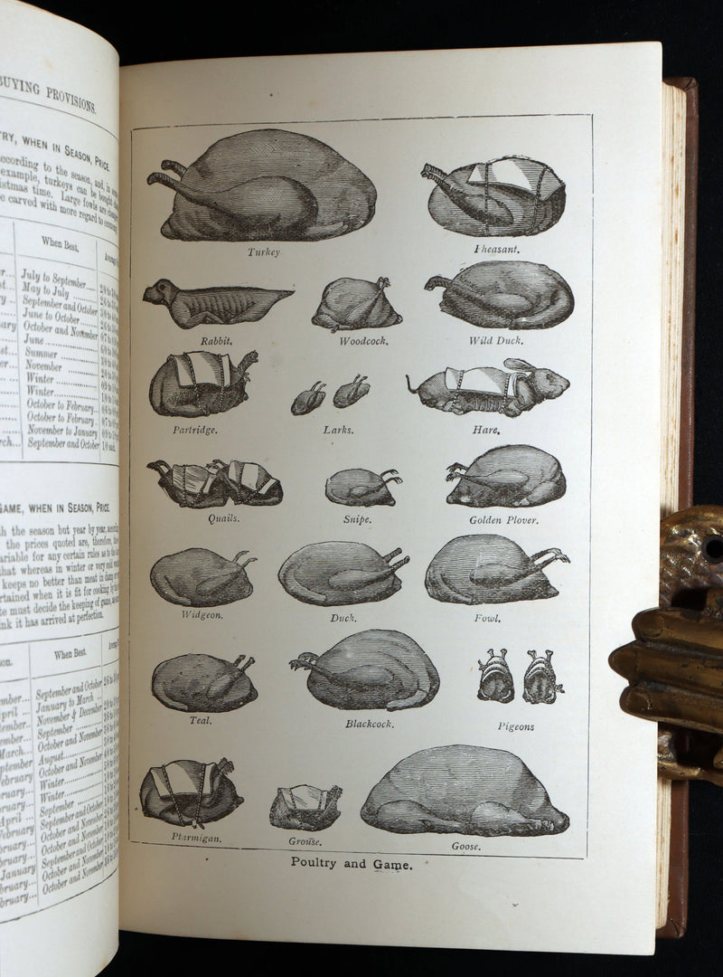 1890 Rare Book - Mrs. Isabella Beeton’s Every-Day Cookery, Illustrated in Colour