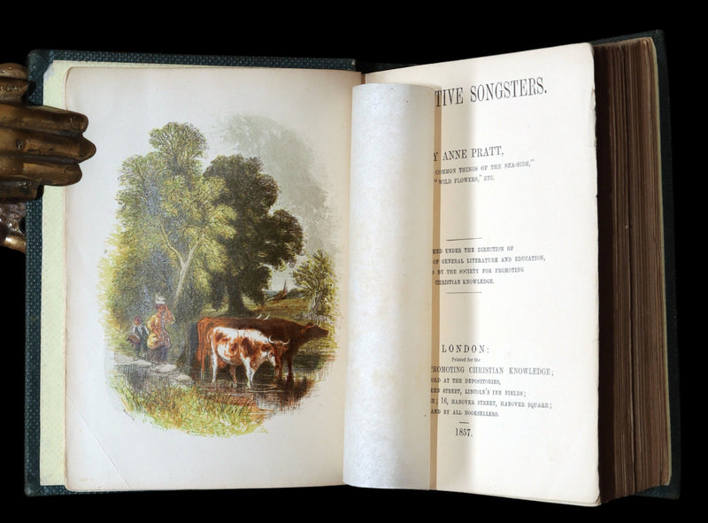 1857 Rare Ornithology Book ~ Our Native Songsters Illustrated by Anne Pratt