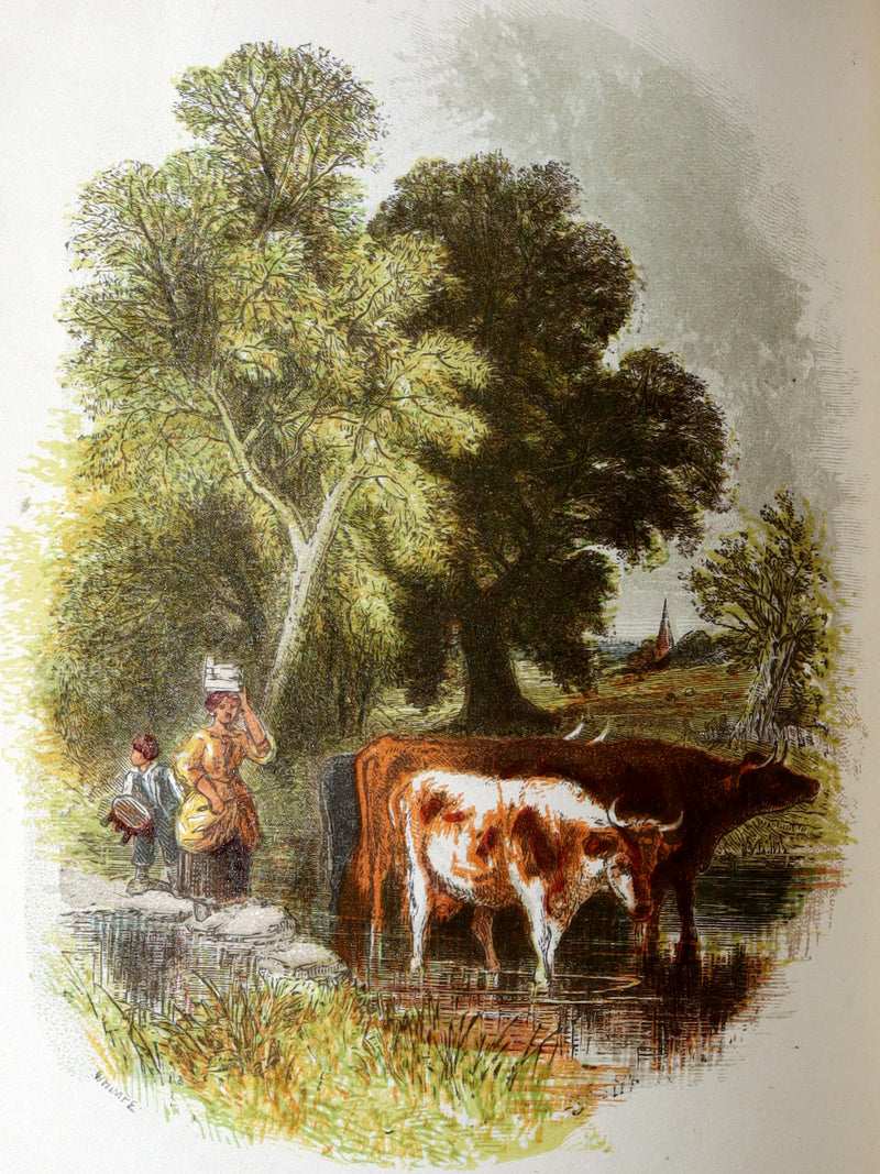 1857 Rare Ornithology Book ~ Our Native Songsters Illustrated by Anne Pratt