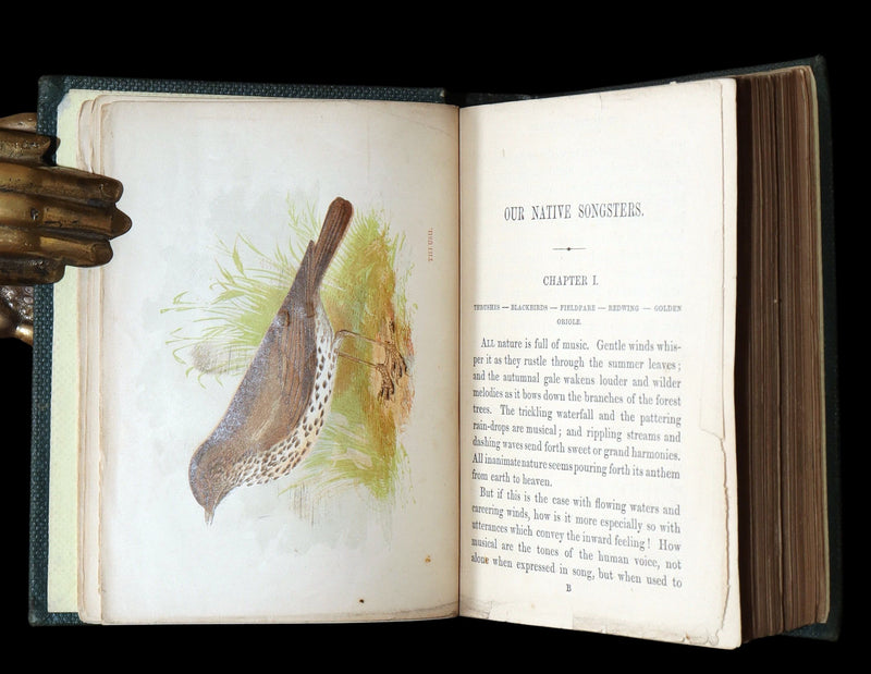 1857 Rare Ornithology Book ~ Our Native Songsters Illustrated by Anne Pratt