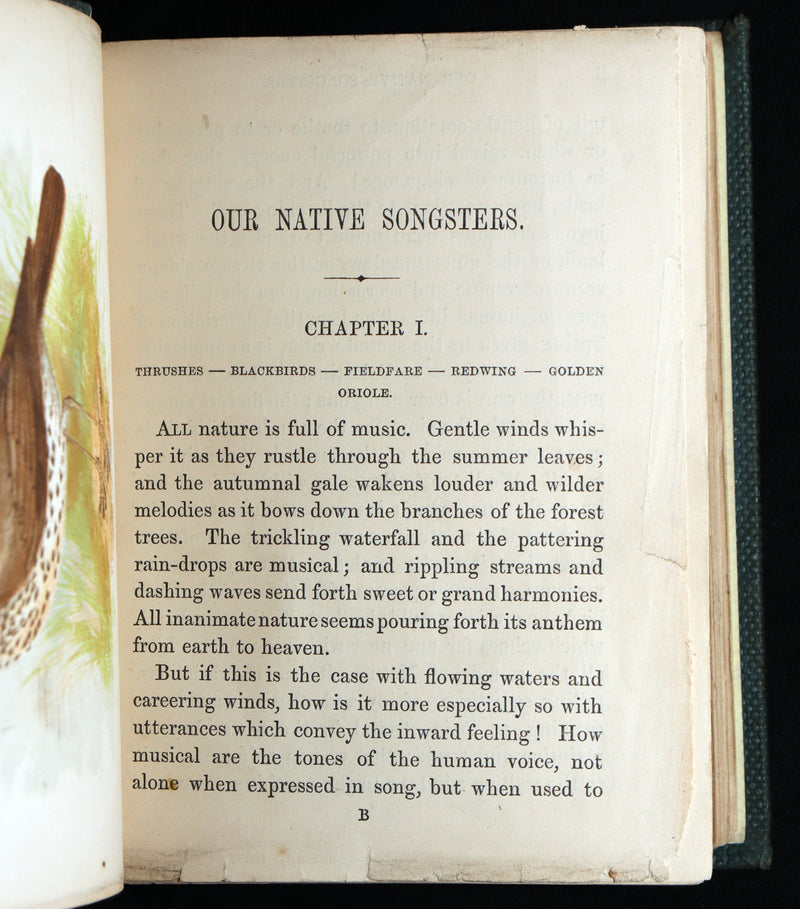 1857 Rare Ornithology Book ~ Our Native Songsters Illustrated by Anne Pratt