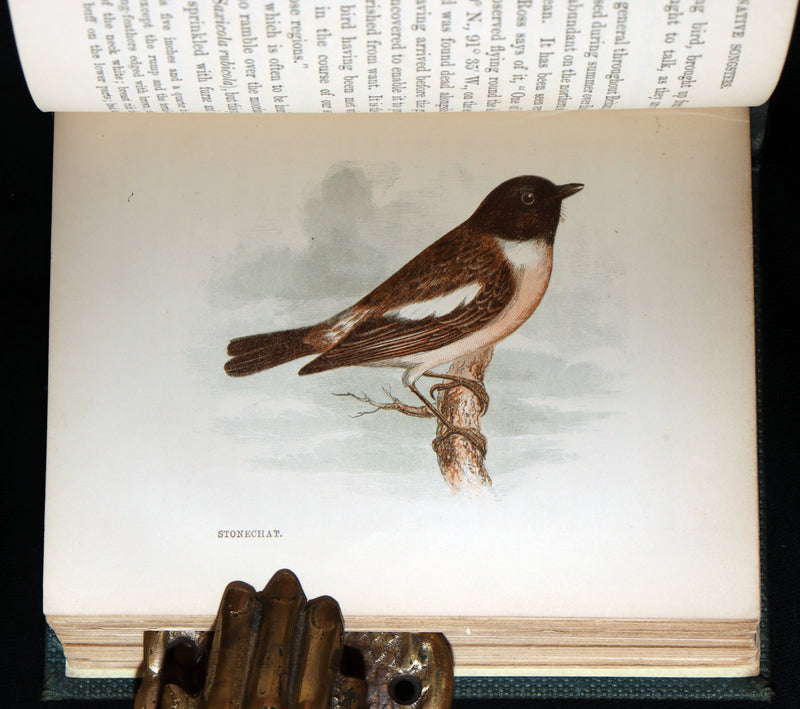 1857 Rare Ornithology Book ~ Our Native Songsters Illustrated by Anne Pratt