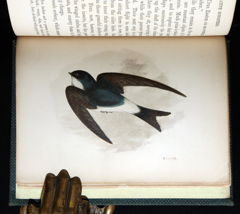 1857 Rare Ornithology Book ~ Our Native Songsters Illustrated by Anne Pratt