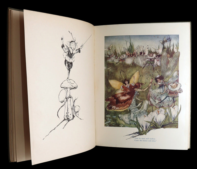 1915 Scarce Book - Fairy Frolics by Enos and Frances Comstock, Color Illustrated