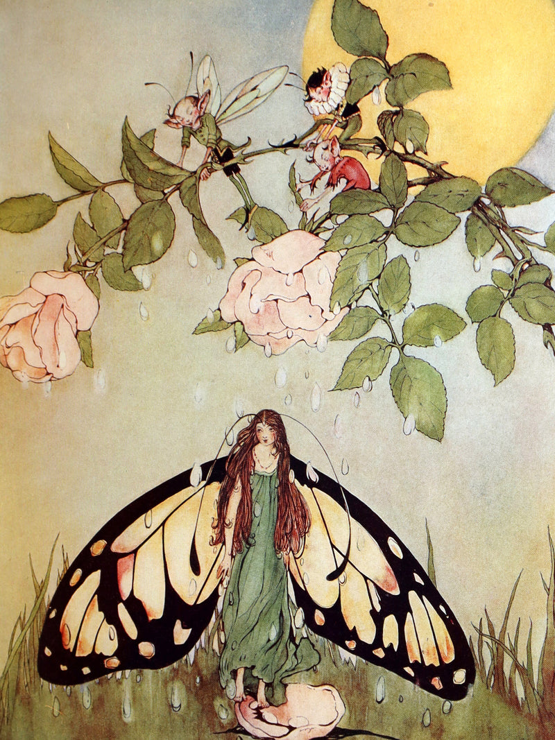 1915 Scarce Book - Fairy Frolics by Enos and Frances Comstock, Color Illustrated