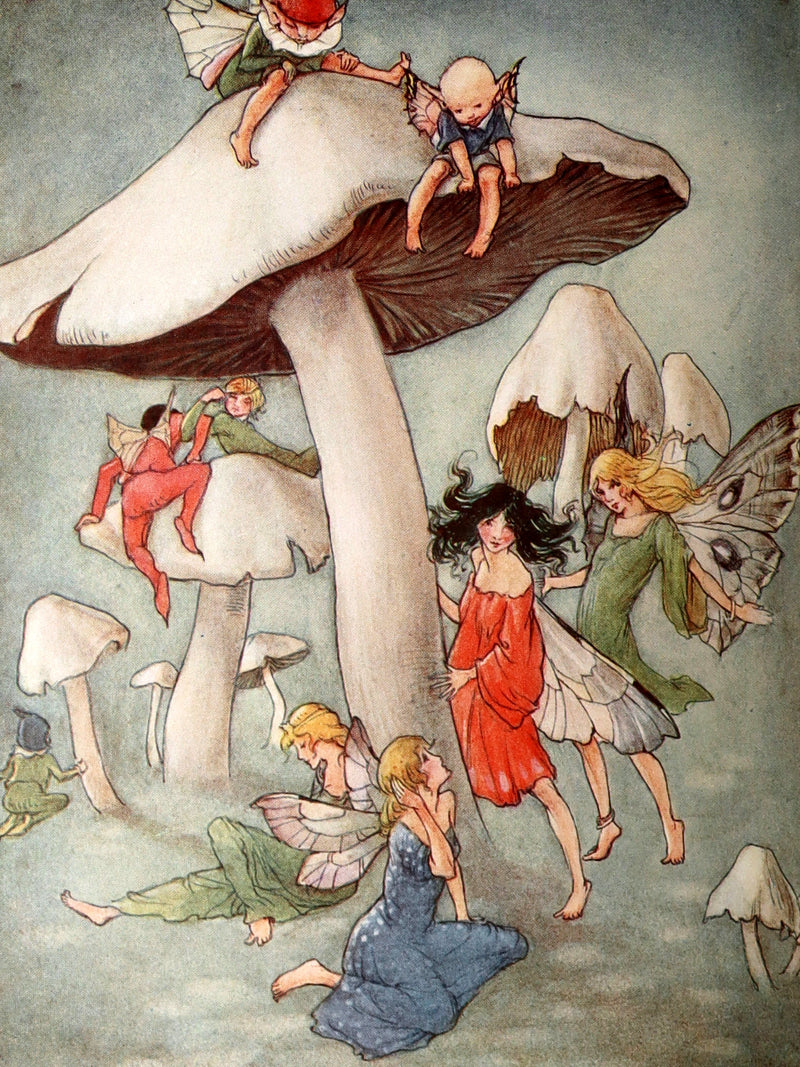 1920 Rare Book - The Dream-Pedlar, Illustrated in Color by Florence Anderson